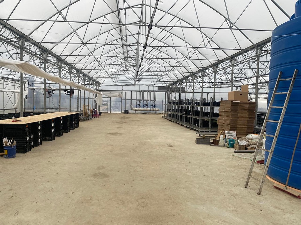 Портрет человека