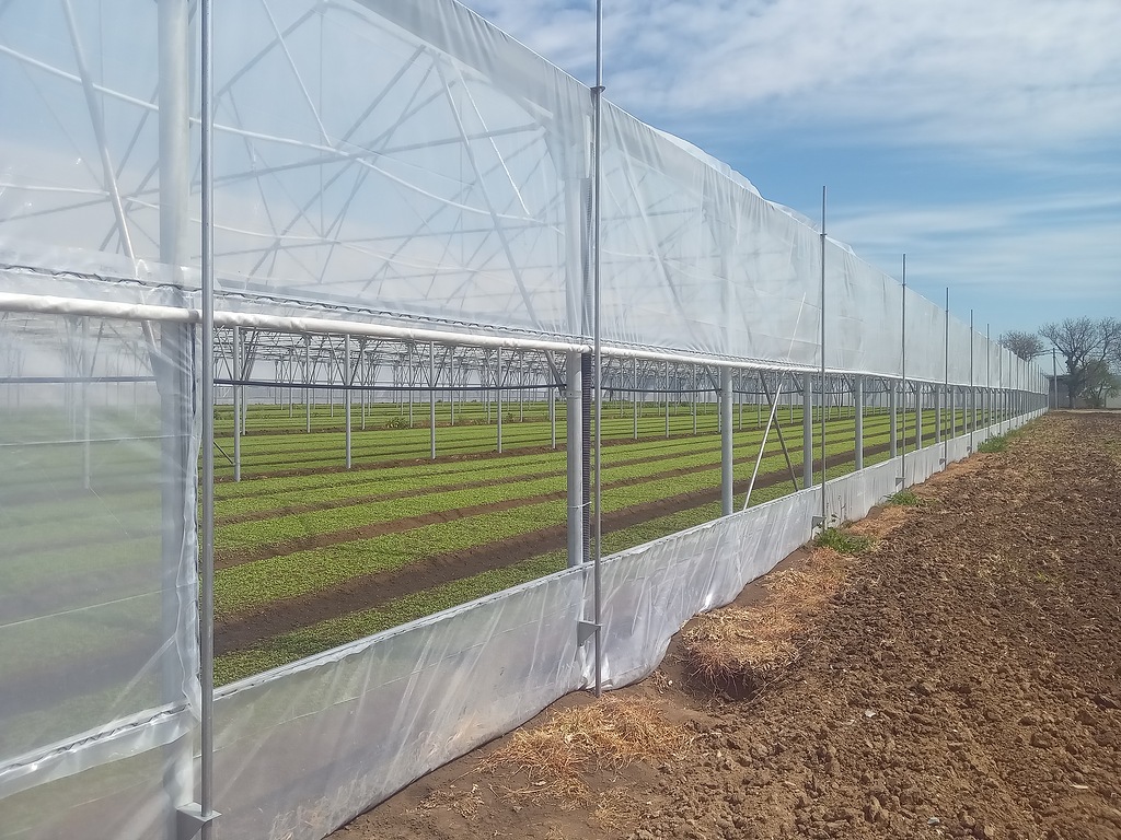 Портрет человека